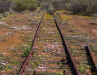 Line To Nowhere