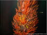 Orange Sponge Encrusted Telesto Coral